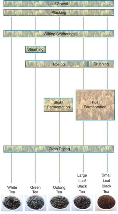 writing process diagram